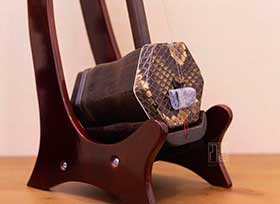 Erhu Lessons and Instrument Bundle