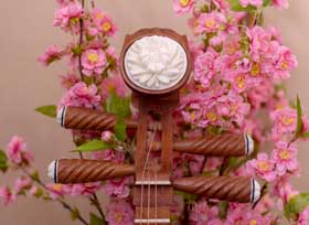 Pipa Lessons and Instrument Bundle