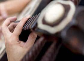 zhongruan instrument and lessons bundle